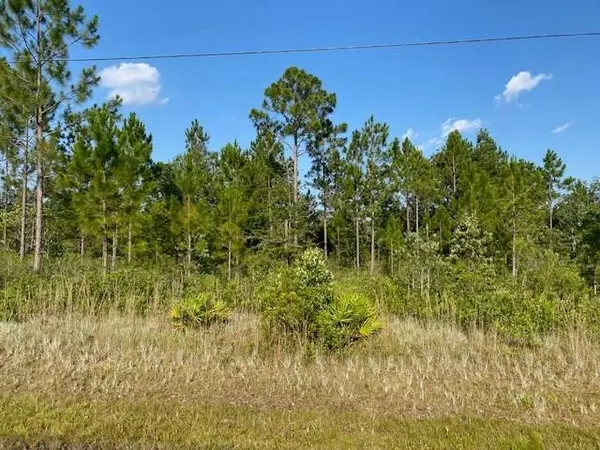 13 Oak Bend Drive, Naylor, GA 31641