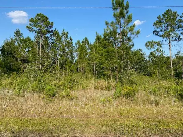 13 Oak Bend Drive, Naylor, GA 31641