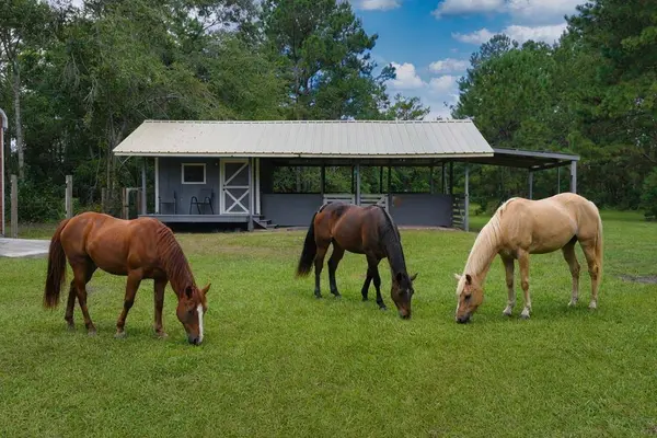 6295 Skipper Bridge Road, Hahira, GA 31632