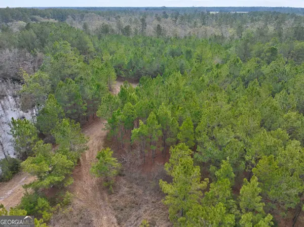 2940 Mud Swamp RD, Valdosta, GA 31601