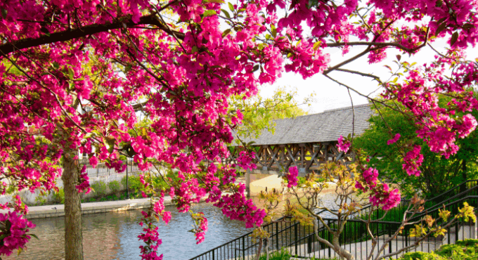 Naperville IL Real Estate Market Update March 2026 — Joe Graham Homes