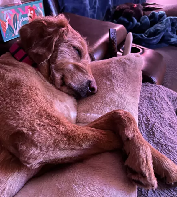 The 2026 Homebuyer’s Playbook: Why Falling Rates Mean It’s Time to Move (Dont Get Caught Sleeping)