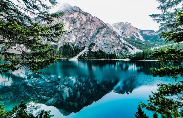 What’s Happening in the Springville, Spanish Fork & Mapleton Real Estate Market?,Lori Collins