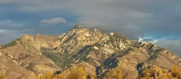 The Real Estate Market Doesn’t Have an Affordability Crisis — It Has a Priority Crisis,Bill Gillane