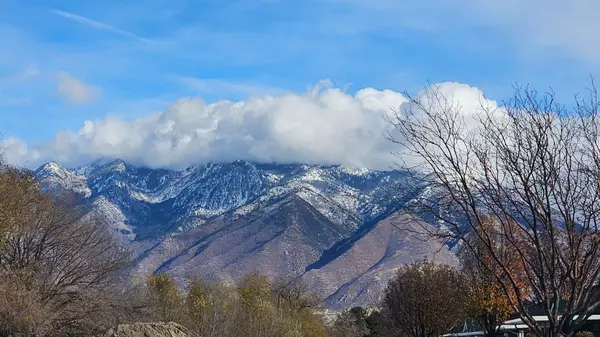 Midvale Homes: Small City, Big Opportunity for Buyers and Investors