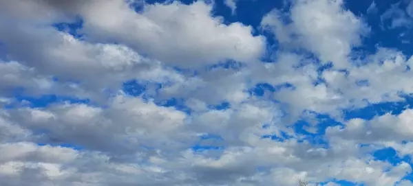 How Rising and Falling Mortgage Rates Really Impact Buyers in Utah,Bill Gillane