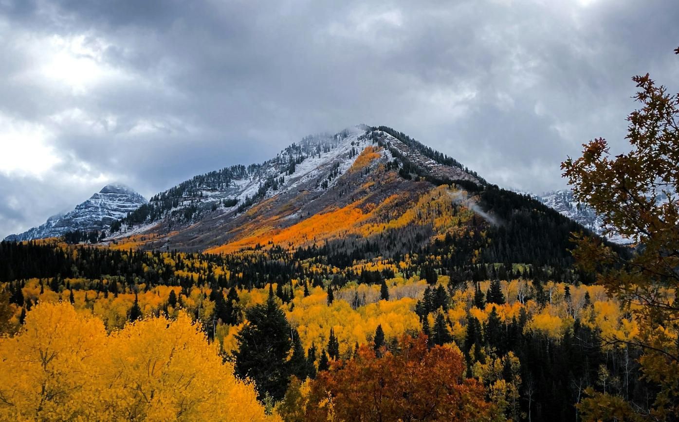 American Fork Utah Real Estate with Mike Anderson Realtor