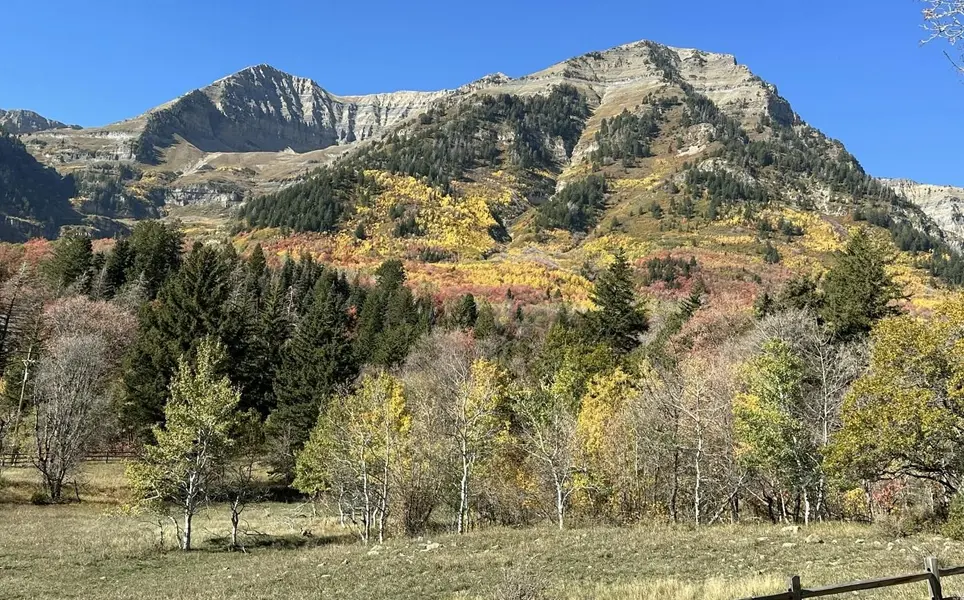 Highland