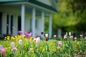 Navigating the Spring Market: Smart Homebuying Strategies for March