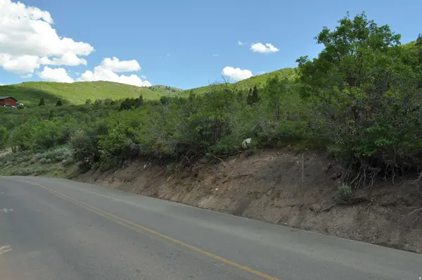 1543 RIDGELINE DR #1224, Heber City, UT 84032