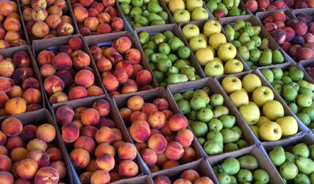 Lehi Farmer's Market