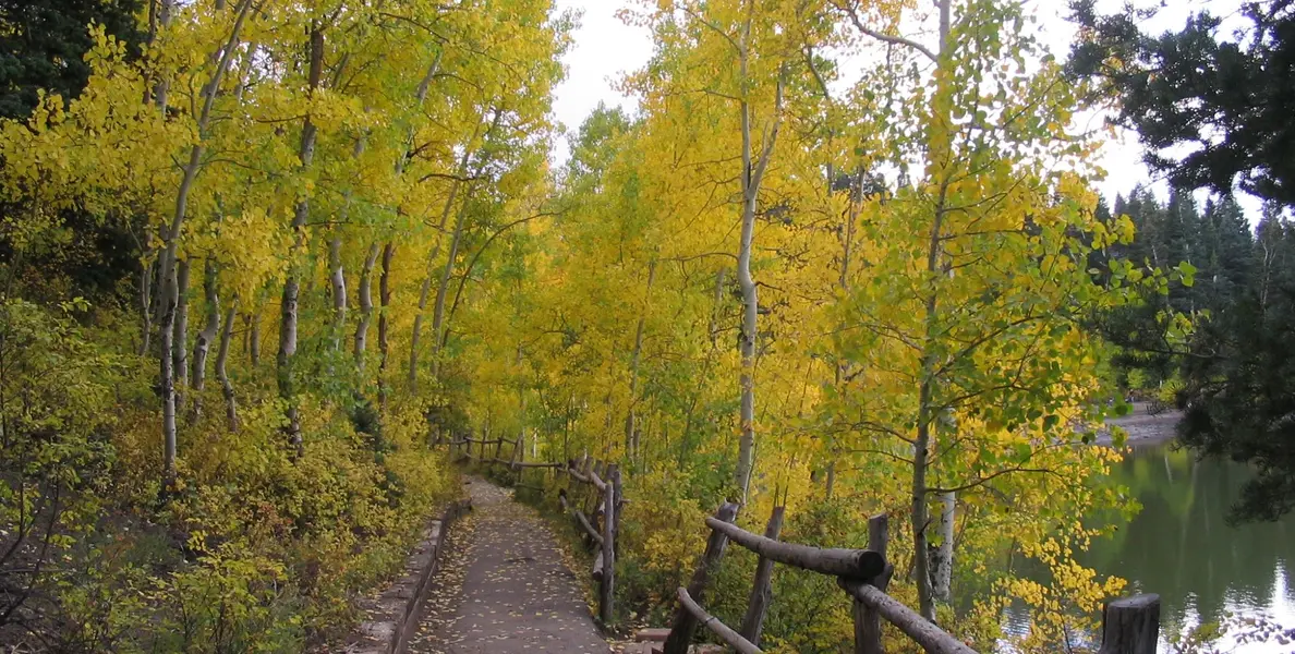 Payson