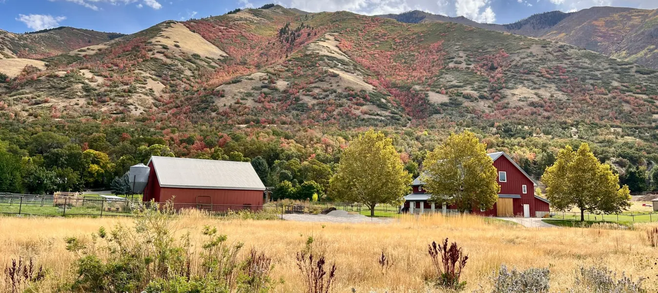 Mapleton