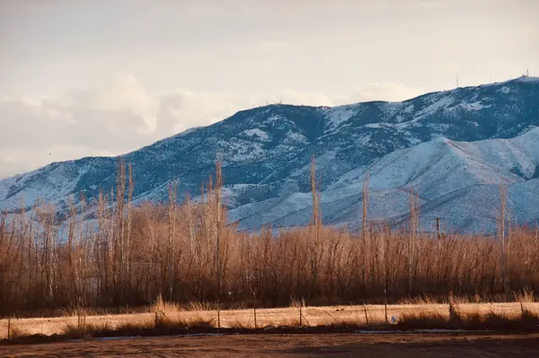 Finding the Right Real Estate Agent in Lehi, Utah's Silicon Slopes Market,Dallon Smith