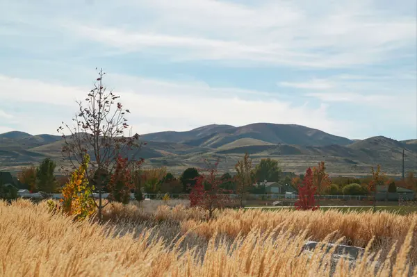 Why Bluffdale, Utah Buyers Need an Agent Who Understands Land and Lifestyle,Dallon Smith