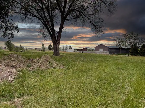 Plain City, Utah open field with tree at sunset