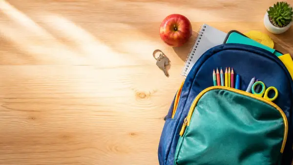 South Ogden Schools Guide: Which Weber School District Schools Serve Your Address