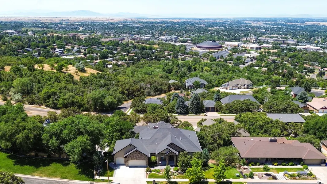 Ogden