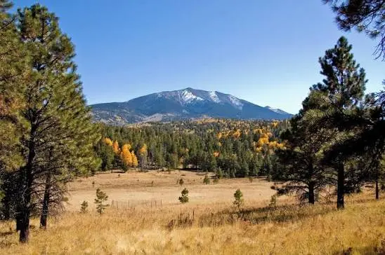 feature image of What's Flagstaff All About? Mountain Living, Four Seasons & Real Estate (2026)