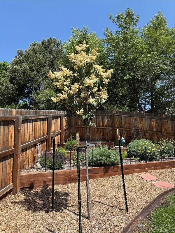 3160 Westcliff DR, Colorado Springs, CO 80906