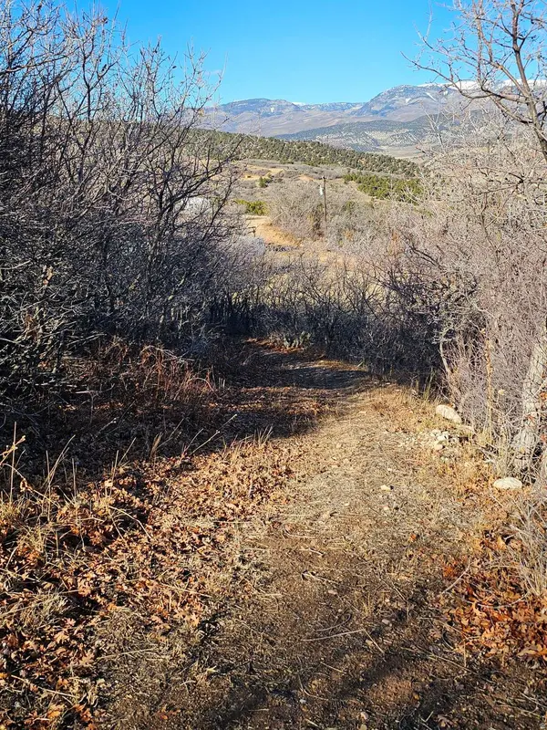 1064 E TABBY ACCESS RD, Tabiona, UT 84072