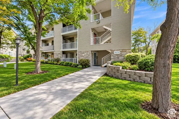 3823 S BIG RIVER WAY #1
