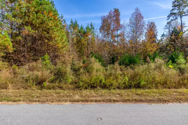 253 Riverine Drive, Pittsboro, NC 27312