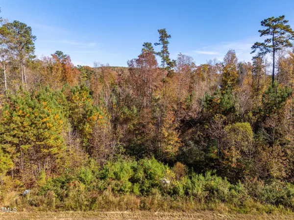 253 Riverine Drive, Pittsboro, NC 27312