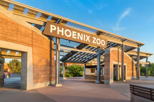Top Places in Phoenix for Kids to See Animals, Big Splashes and Unforgettable Fun