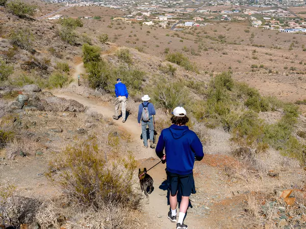 The Best Hiking Trails in Phoenix and Surrounding Cities
