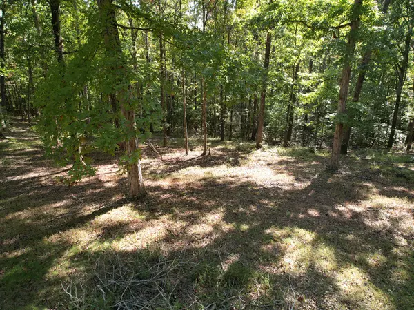 1060 Holcomb Cir, Kingston Springs, TN 37082-8954