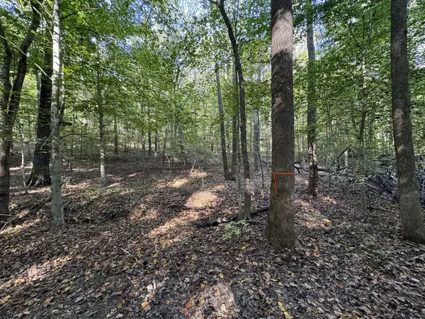 1060 Holcomb Cir, Kingston Springs, TN 37082-8954