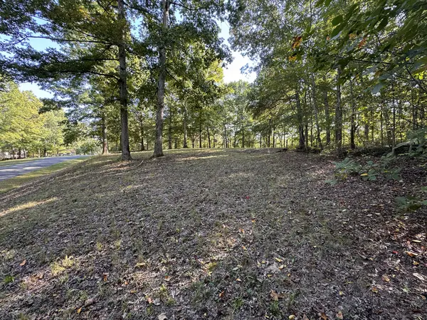 1060 Holcomb Cir, Kingston Springs, TN 37082-8954
