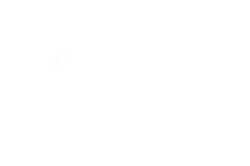 the morning blend