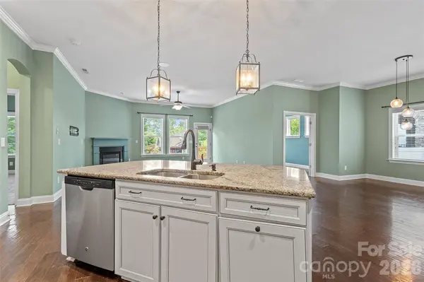 11633 Bradford Park DR, Davidson, NC 28036