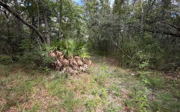TBD NW 21ST PLACE, Jennings, FL 32053