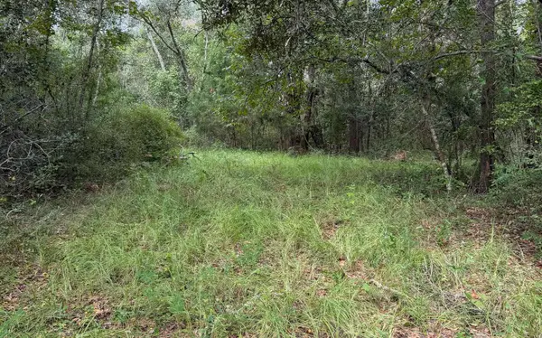 TBD NW 21ST PLACE, Jennings, FL 32053