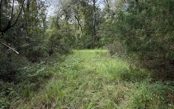 TBD NW 21ST PLACE, Jennings, FL 32053