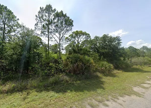 Lot 15 BLUELEAF DR, North Port, FL 34288