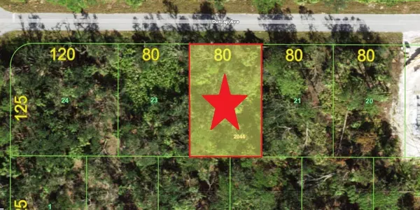 14229 DUNLAP AVE, Port Charlotte, FL 33953