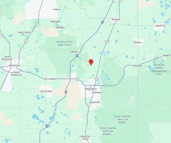 Lot 1 CHIPSTONE ST, Webster, FL 33597