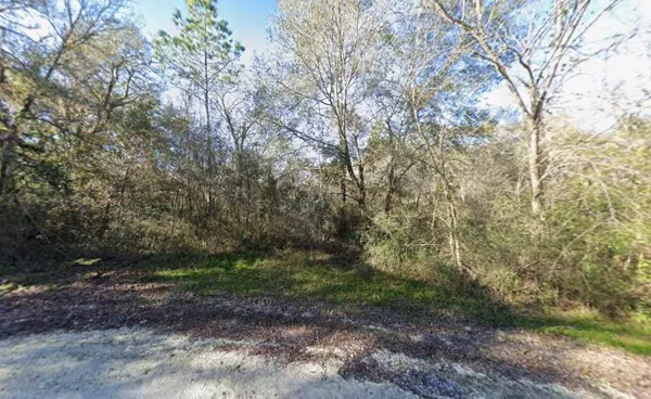 Lot 1 CHIPSTONE ST, Webster, FL 33597