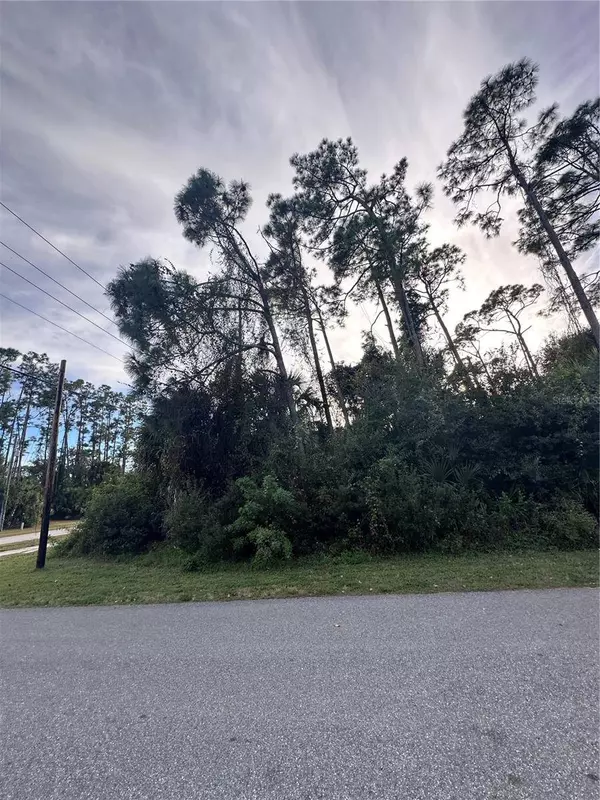 LOT 19 BROAD AVE, North Port, FL 34286