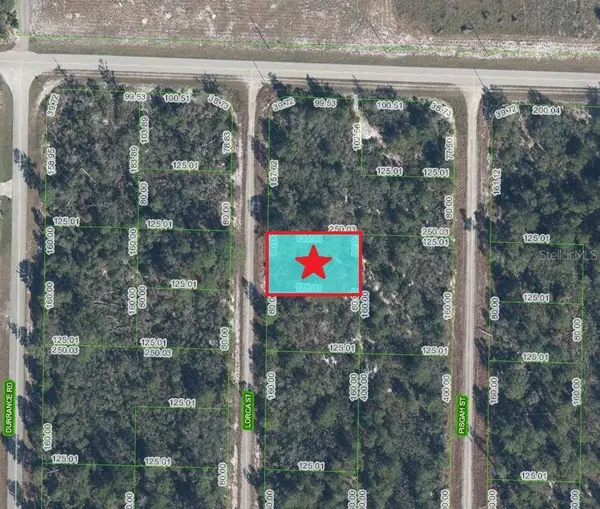 1255 LORCA ST, Lake Placid, FL 33852