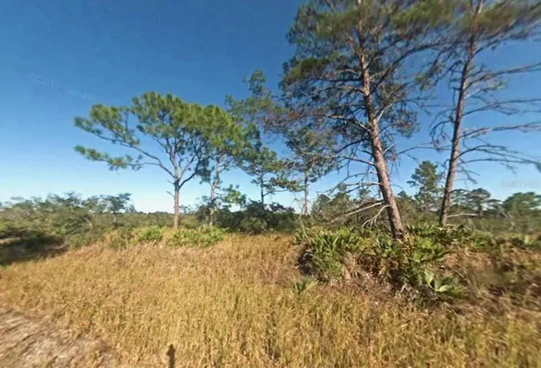 1255 LORCA ST, Lake Placid, FL 33852