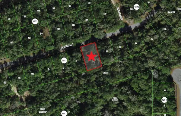 905 E ABEND DR, Dunnellon, FL 34434