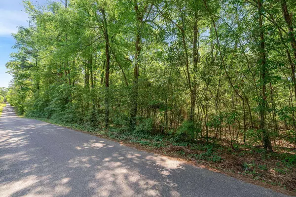 0 Brewer Rd., Purvis, MS 39475