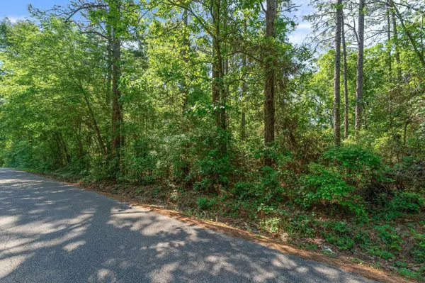 0 Brewer Rd., Purvis, MS 39475