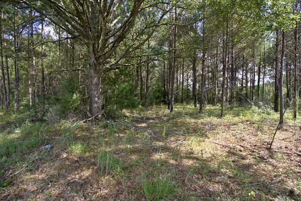 Lot 4 Blacktop Rd., Prentiss, MS 39474