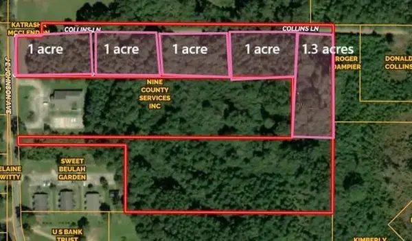0 Blacktop Rd., Prentiss, MS 39474